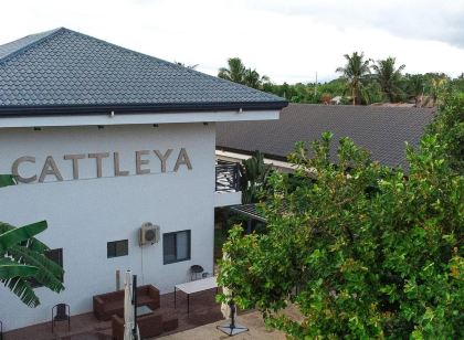 Bohol Cattleya Resort