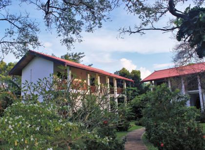 Blue Turtle Hotel