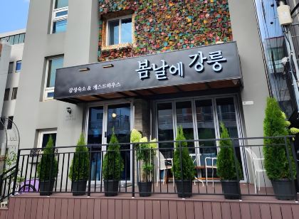 강릉게스트하우스 봄날에강릉