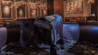 the-linq-hotel-and-experience