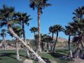 dignitary-discretion-las-vegas