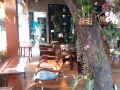 lanna-tree-boutique-hotel