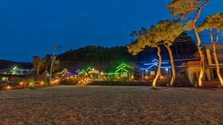 gapyeong-tree-house-pension