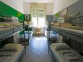 koala-hostel
