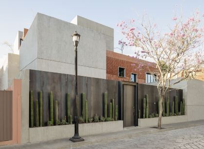 Macondo Arte Oaxaca