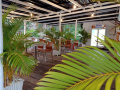 freedom-bungalow-and-resort