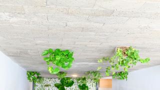 t-p-house-3