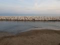 platamon