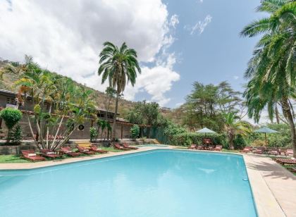 薩羅瓦獅子山野生山林小屋