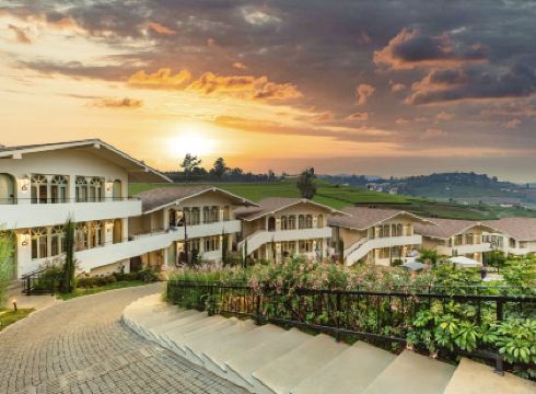 Mango Hill Shola Ooty