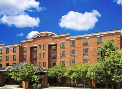 Comfort Suites Regency Park