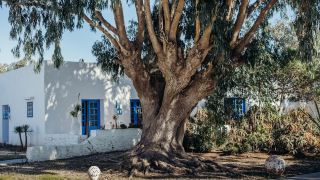 tangaro-hip-hotel-and-spa