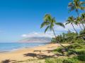 palms-at-wailea-606