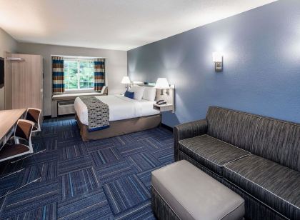 Microtel Inn & Suites by Wyndham Greenville / Woodruff Rd