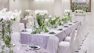 hotel-plumm