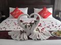 patong-princess-sha-plus-plus-