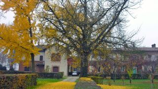 la-marchesina-five-bedroom