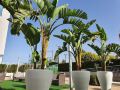 hilton-garden-inn-sevilla
