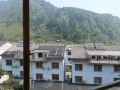 shuxiang-farmhouse
