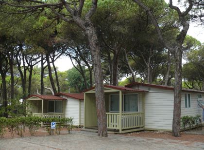 坎皮斯莫奧比圖爾卡帕裡卡海岸公園旅館