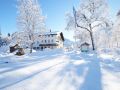 hotel-waldmann