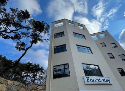 공주 포레스트스테이 풀빌라