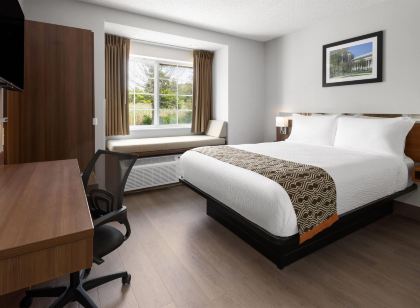 Microtel Inn by Wyndham Albany Airport