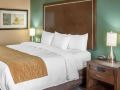 comfort-inn-and-suites-san-marcos