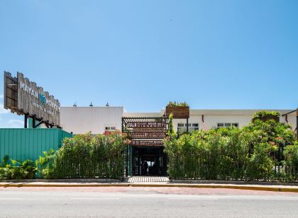 Mayan Monkey Cancun - Social Hotel