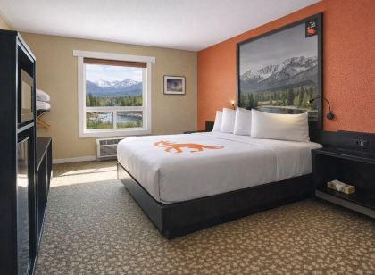 Fernie Fox Hotel