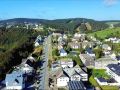 die-zwei-lowen