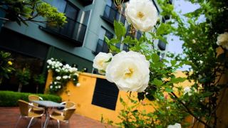 the-old-woolstore-apartment-hotel
