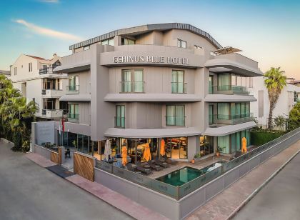 Echinus Blue Hotel
