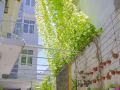 gold-house-hotel-danang