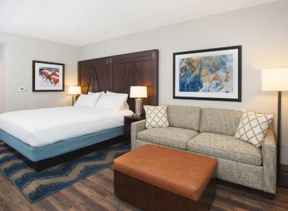 Hilton Garden Inn Burbank Los Angeles