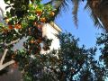 hotel-lodi