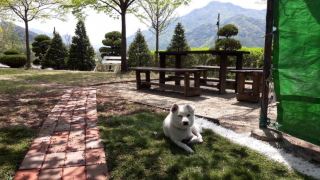 chamjoeun-pension