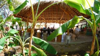 selina-tamarindo