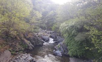 Jeongseon Gariwangsan Pension