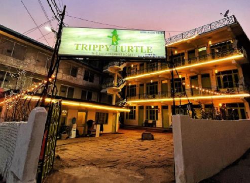 Trippy Turtle Hostel