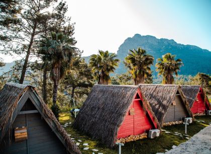 The Hill Glamping