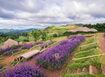 ม่อนล้านวิว