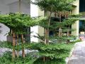 cairnhill-hotel-kuala-lumpur