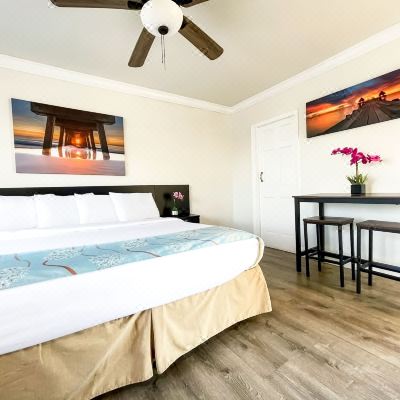 Superior Room Superior Room The Palms Promo Code