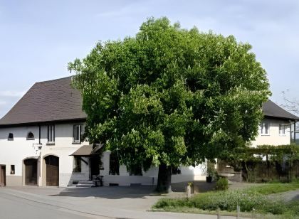 Maien Hotel & Restaurant