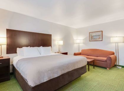 퀄리티 인 벨그라드