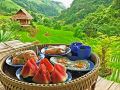kowitfarmstay
