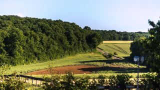 le-petit-domaine-de-bois-avril