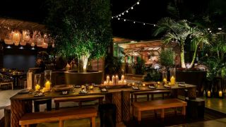 tommie-hollywood-part-of-jdv-by-hyatt