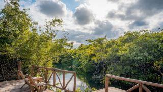 manglex-eco-hotel-tulum